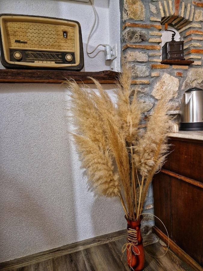 Willa Casa Luana Roč Zewnętrze zdjęcie